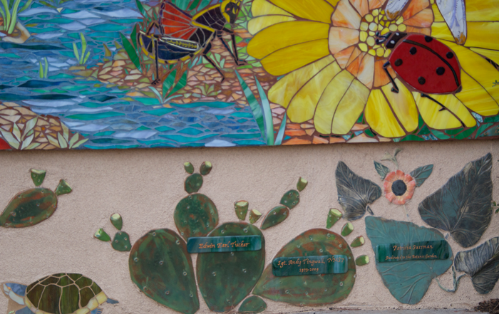 dragonfly_mosaic2